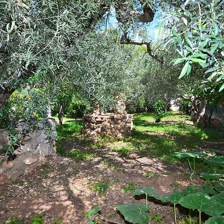 Gæstehus M&g House